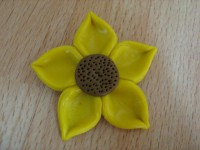/album/fimo-vecicky1/img-7496-jpg1/